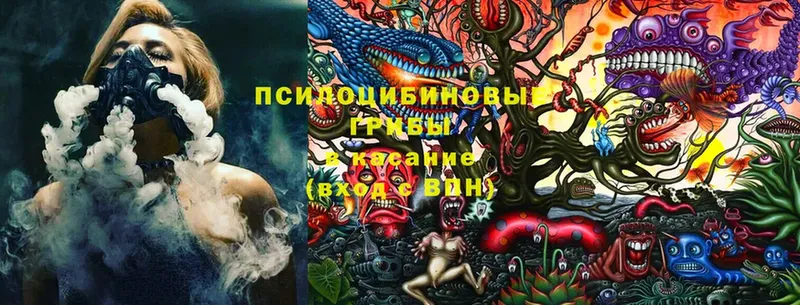 Галлюциногенные грибы Cubensis  гидра   shop наркотические препараты  даркнет сайт  Жердевка 